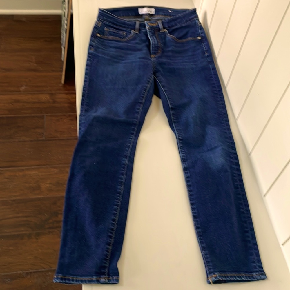 Loft The Curvy Skinny 26P/2P jeans